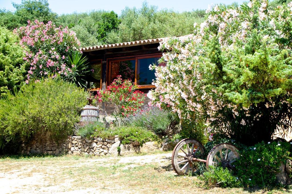Agriturismo Sardo Villa Campavaglio Exterior photo
